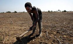 Medium_farming-in-malawi-008